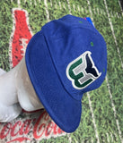 Hartford Whalers Hat VTG 90s NHL Green Blue Cap Rare Reversible Pro Player