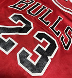 Basketball Champion Chicago Bulls Michael Jordan NBA Jersey Sz xL