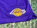 Los Angeles Lakers NBA Nike Xxl Purple Shorts Practice Worn Basketball