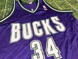 Champion Ray Allen Milwaukee Bucks NBA basketball Jersey Sz 44 giannis